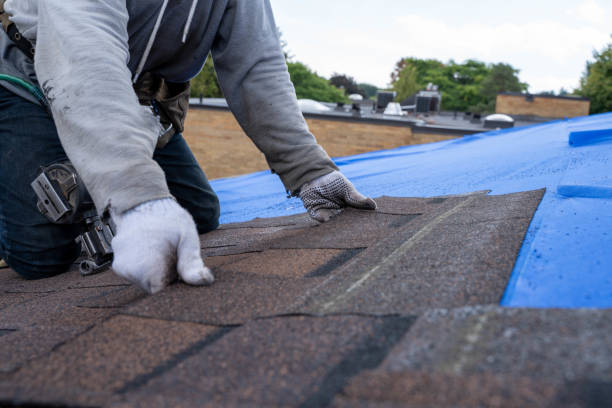 Quick and Trustworthy Emergency Roof Repair Services in Whitfield, FL