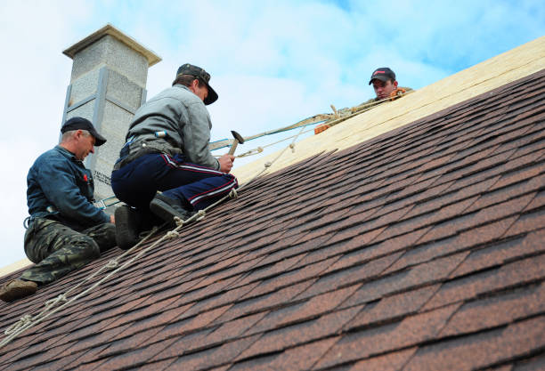 Best Roof Gutter Cleaning  in Whitfield, FL
